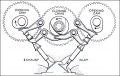 Desmo Valves.jpg